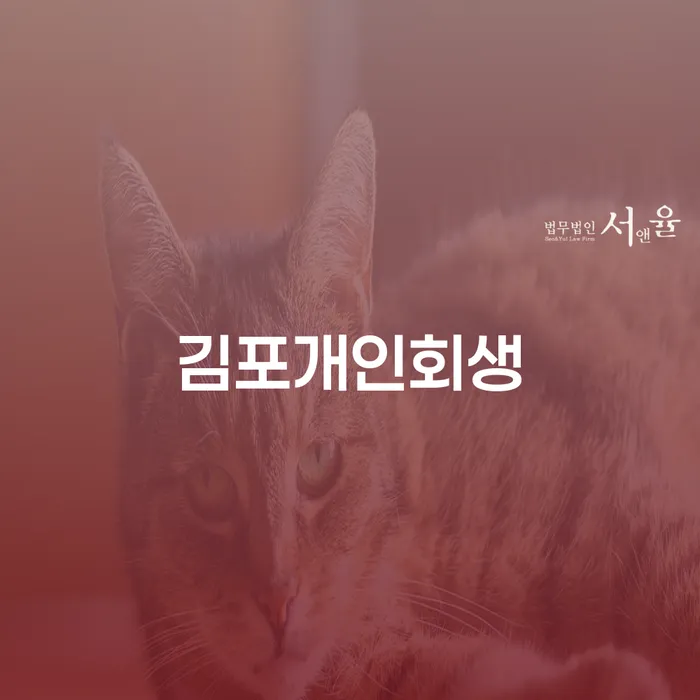 사채대출 빚청산 해결 가능합니다.
