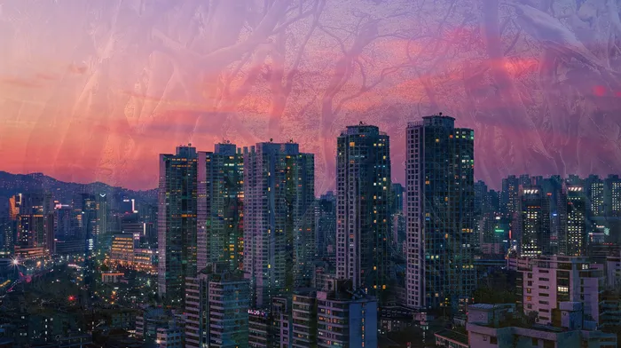 신용불량자회복