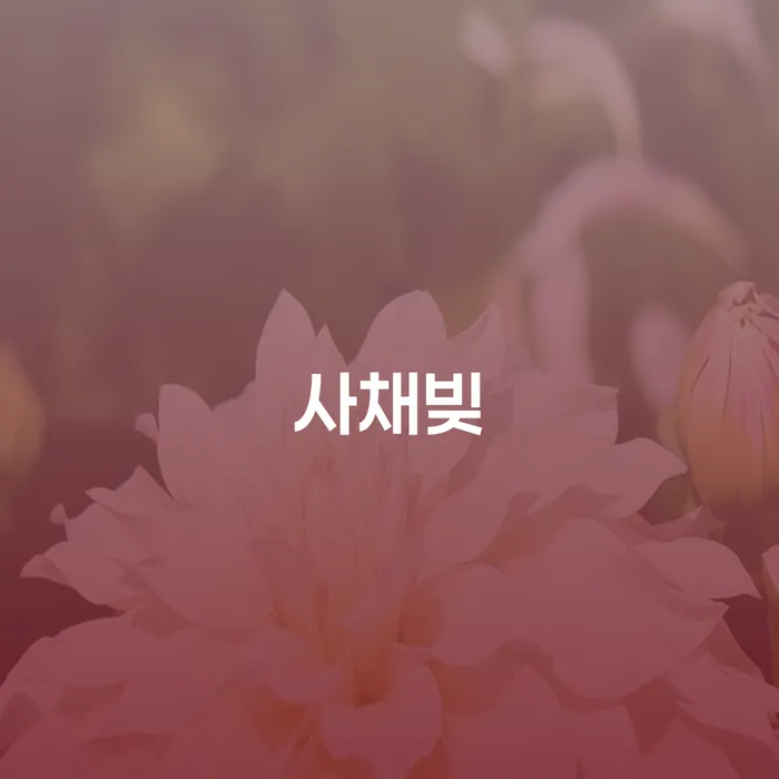 신용카드연체시 연체 채무 신속해결방법 추천하는 곳