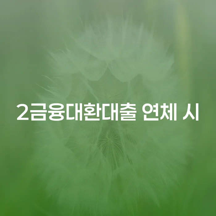 개인신용회복제도 개인회생 처리방법 결정이나고