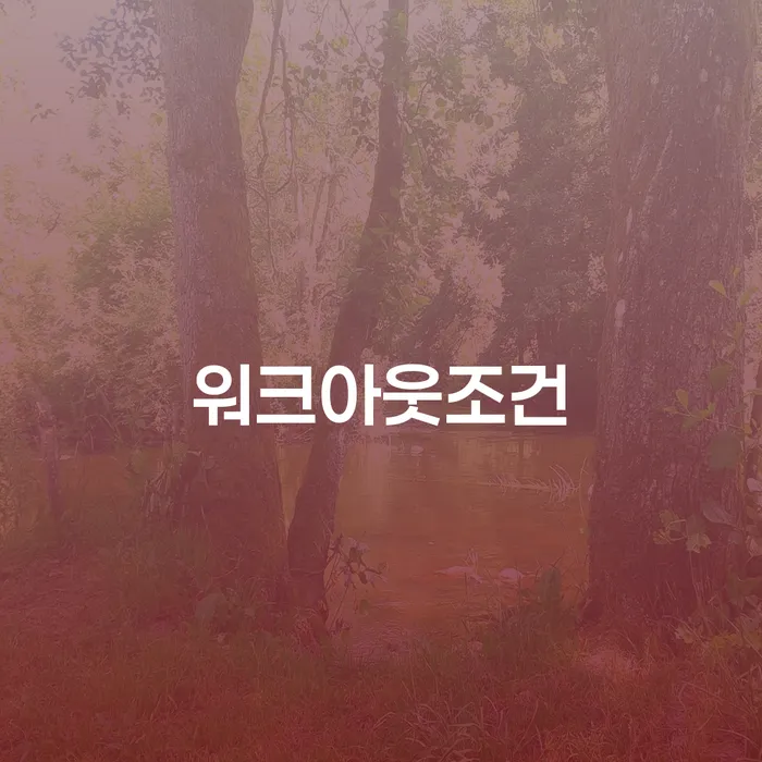 옥천군 파산 개인회생으로 방법 잘 하는 사무소