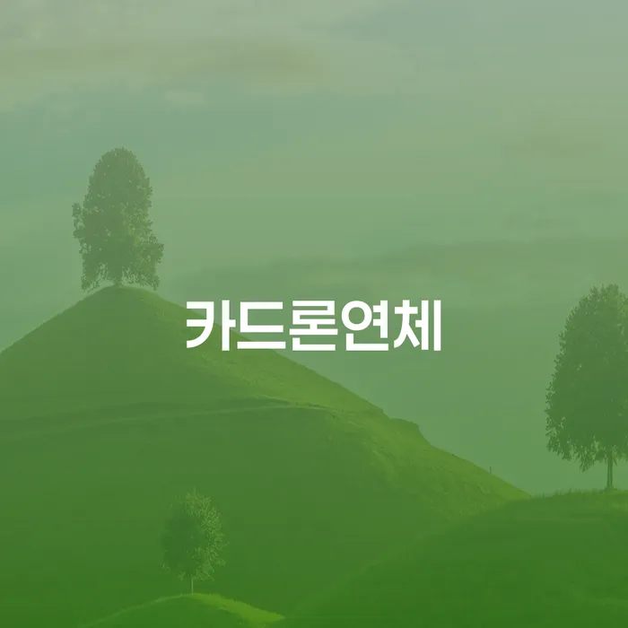 정선군 개인회생성공사례 빚 해결할 접수를