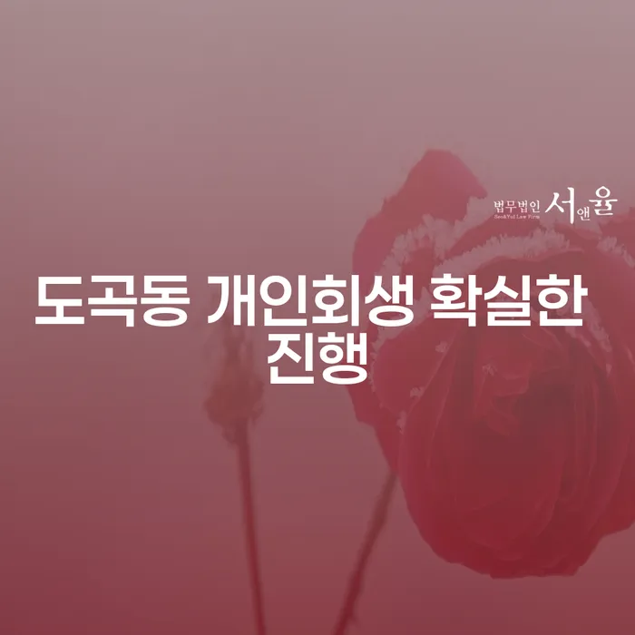 도곡동 개인회생 확실한 진행