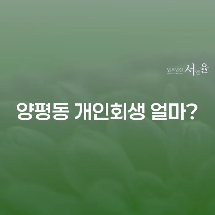 양평동 개인회생 얼마?