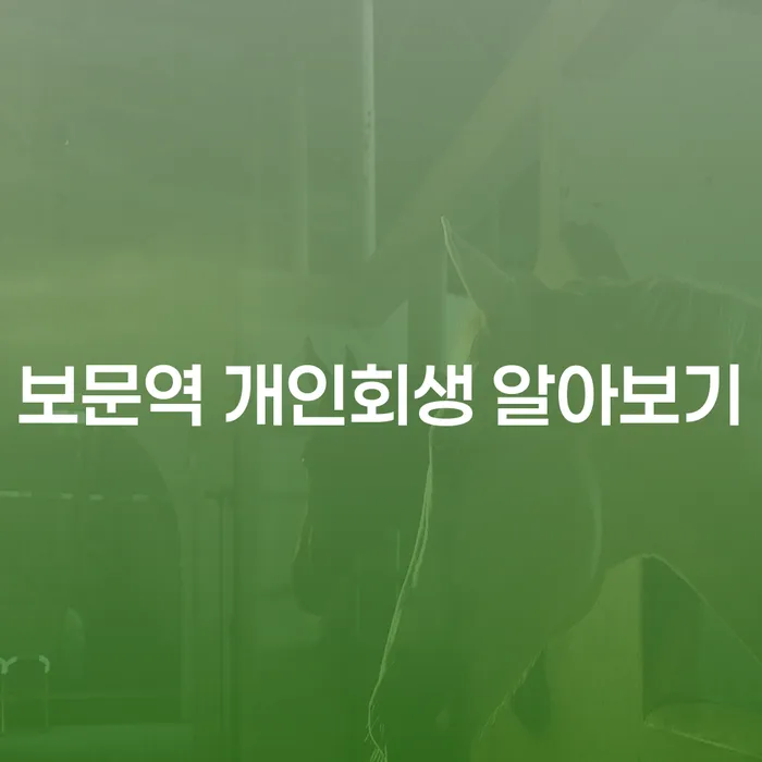 보문역 개인회생 알아보기