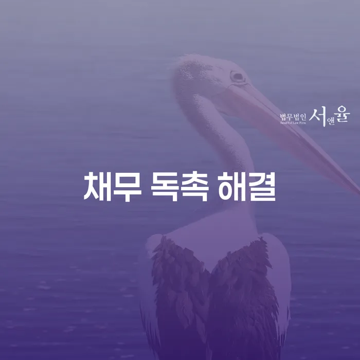 채무 독촉 해결, 개인회생과 개인파산으로 가능한가요?
