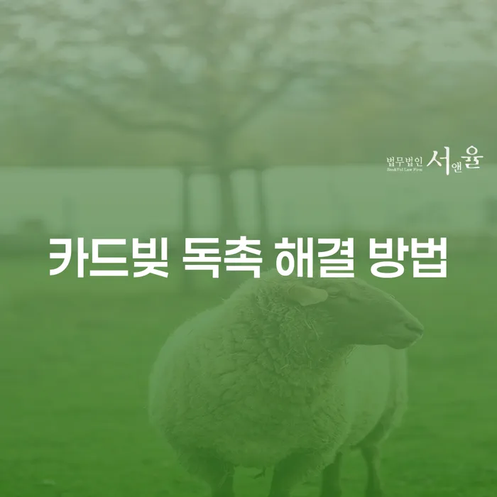 카드빚 독촉 해결 방법: 현실적인 대안은 무엇일까요?