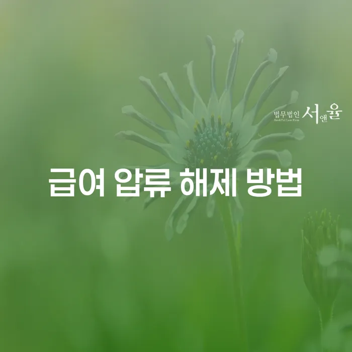 급여 압류를 어떻게 해제할 수 있을까요?