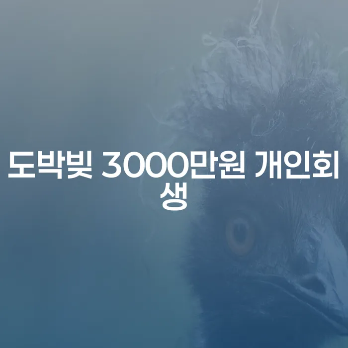 도박빚 3000만원, 개인회생으로 해결할 수 있을까요?
